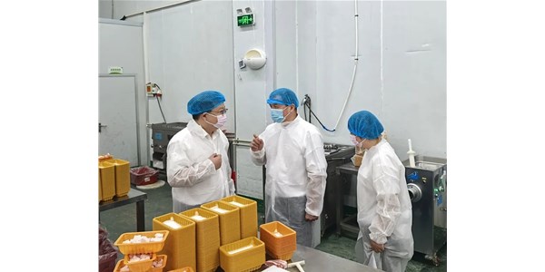 武漢市農(nóng)業(yè)農(nóng)村局赴農(nóng)發(fā)零號公司調(diào)研